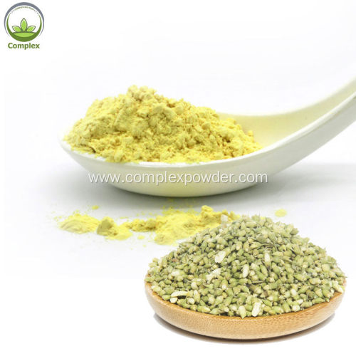 Sophora Japonica Extract Quercetin 95%/Quercetin 98%